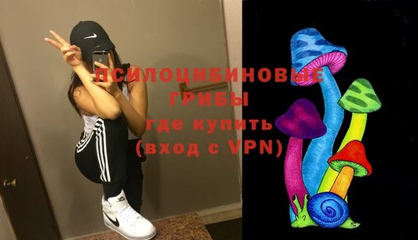 дживик Нея