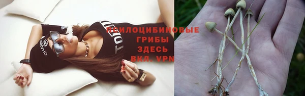 дживик Нея